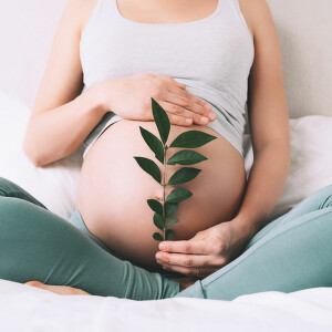 Planiranje trudnoće – prečicom do začeća
