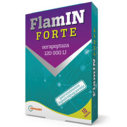 FlamIN Forte kapsule 10 komada